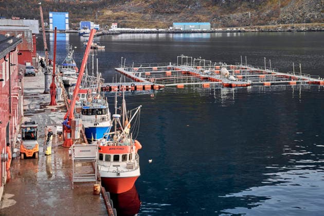 Economy, fishing, aquaculture of salmon and seafood in the harbor of Oksfjord Nordmeer