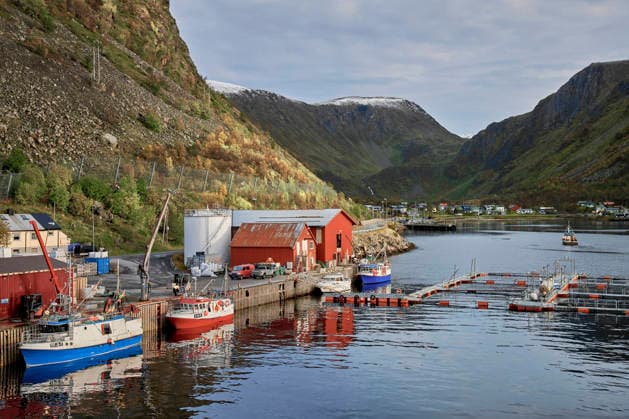 Economy, fishing, aquaculture of salmon and seafood in the harbor of Oksfjord Nordmeer
