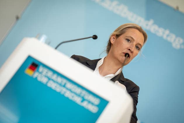 Party and parliamentary group leader Alice Weidel in the German Bundestag^ Statement by the AfD parliamentary group leader in the German Bundestag Parliamentary group level in the Reichstag building, Berlin Berlin Germany Bundestag