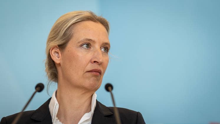 Party and parliamentary group leader Alice Weidel in the German Bundestag^ Statement by the AfD parliamentary group leader in the German Bundestag Parliamentary group level in the Reichstag building, Berlin Berlin Germany Bundestag