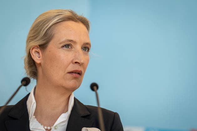 Party and parliamentary group leader Alice Weidel in the German Bundestag^ Statement by the AfD parliamentary group leader in the German Bundestag Parliamentary group level in the Reichstag building, Berlin Berlin Germany Bundestag
