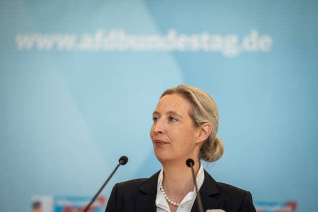 Party and parliamentary group leader Alice Weidel in the German Bundestag^ Statement by the AfD parliamentary group leader in the German Bundestag Parliamentary group level in the Reichstag building, Berlin Berlin Germany Bundestag
