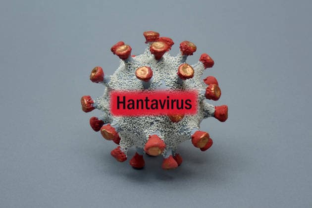 Virus model with Hantavirus lettering Photomontage Virus model with Hantavirus lettering, 25 03 2026, Borkwalde, Brandenburg, The Hantavirus lettering was mounted in a virus model