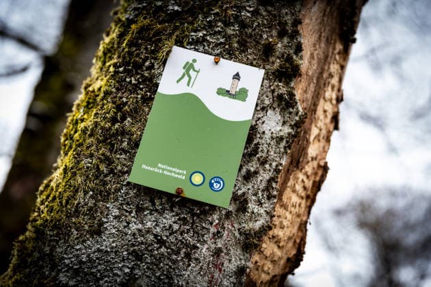 04 04 2026 A sign on a tree Impression from a hike in the Hunsrück Hochwald National Park at Wildenburg near Kempfeld Rhineland Palatinate Kempfeld Wildenburg Rhineland Palatinate Germany Copyright: xBEAUTIFULxSPORTS RaphaelxSchmittx