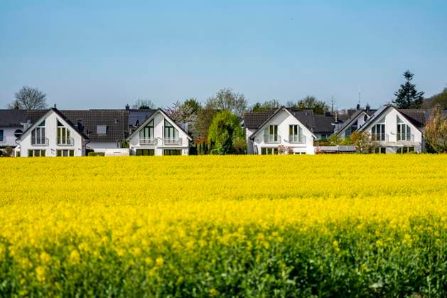 Housing estate, residential area, detached houses, in the south of Essen, living in the countryside, yellow rape field, NRW, Germany, living in the countryside