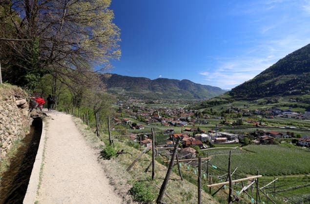An early-morning day with summery temperatures on the Algunder Waalweg near Algund near Merano, Merano Here the view of the apple blossom, blossom, sea of flowers, natural spectacle on the hiking trail with the blossoming apple trees, here the Merano basin with Algund, Meraner Land, Burggrafenamt, Alto Adige, South Tyrol
