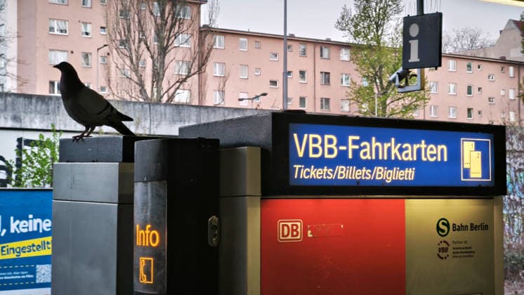 Berlin,15 04 2026,S Hohenzollerndamm station, a pigeon sitting on a VBB ticket machine