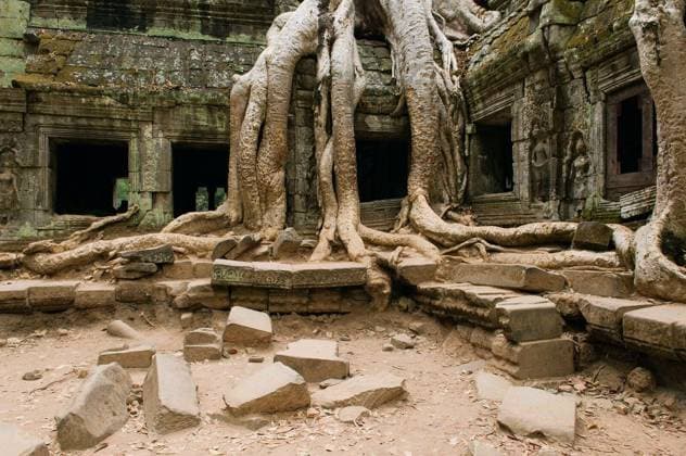 Ancient Temple with Tree Roots Covering Part of Structure Copyright: xmoodboardx Panthermedia75365664.jpg