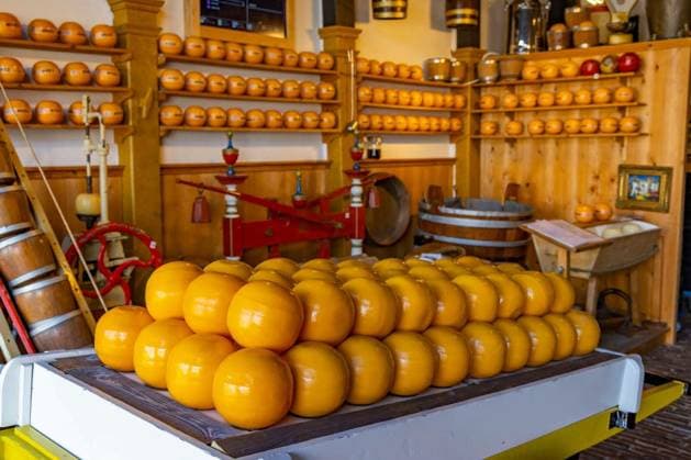 Round Edam cheeses stacked on a counter and shelves in a traditional Dutch cheese shop Copyright: xphbcz_1x Panthermedia101077588.jpg