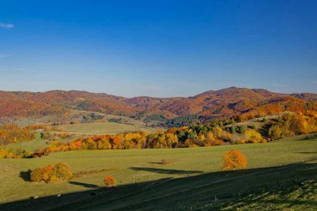 Rolling hills showing vibrant autumn foliage under a clear blue sky in Slovakia Copyright: xphbcz_1x Panthermedia101748922.jpg