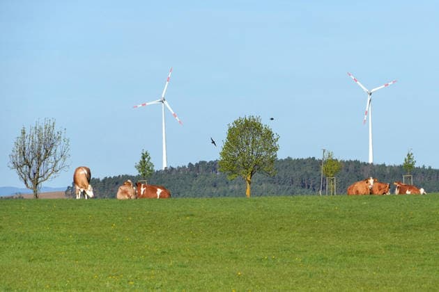 Cultural landscape, Structural diversity the Landscape, Wind turbines, Forest and Cattle at the Pasture, Use the Wind energy, species-appropriate Cattle farming, Agriculture, Animal welfare, Thuringia 1131609329