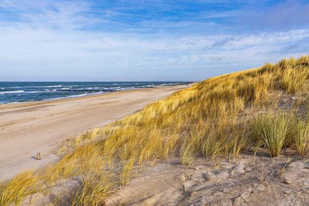 Beach and dune on shore of the Baltic Sea in Graal Mueritz, Germany. Copyright: xRicoKx Panthermedia102388774.jpg