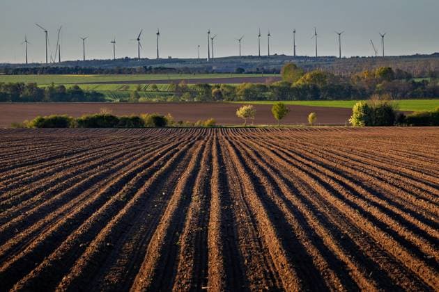 30 04 2026 View of field near Benzigerode in the Harz district of Saxony Anhalt where potatoes are grown The most striking feature is the long, straight rows of ridges that crisscross the field These ridges are created by piling up soil, which provides space for