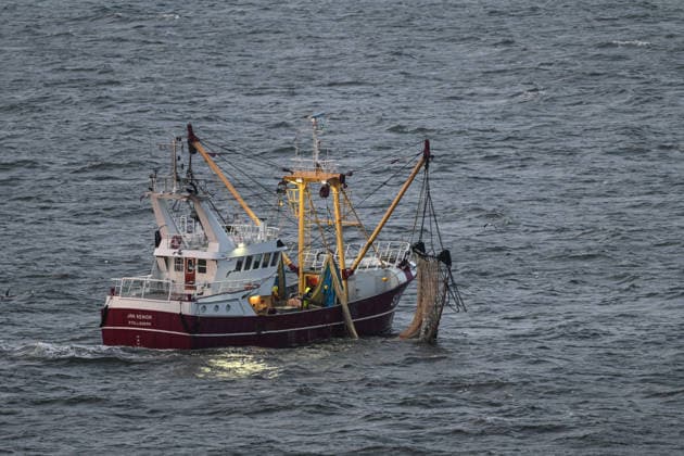 Coastal fishing in the North Sea A coastal fishing vessel fishes for flatfish off the Belgian coast Zeebruegge Zeebruegge Belgium Copyright: xdiebildwerftx