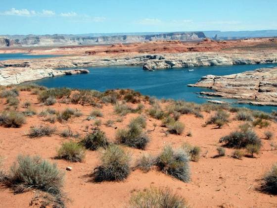 View of Lake Powell in Arizona Copyright: xjovannigx Panthermedia67944170.jpg