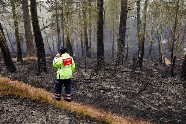 GÖTEBORG, SWEDEN 20260503 A forest fire has broken out in the Delsjö area in the municipality of Gothenburg and has been raging since Saturday afternoon The emergency services are on the spot and are working to fight the fire GÖTEBORG SWEDEN x9200x  Copyright: xAdamxIhse TTx SKOGSBRAND GÖTEBORG rCweyCUmzGE