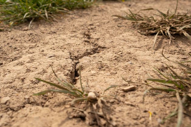 Drought in spring Cracked soil on agricultural land 03 05 2026, Selters Symbol photo, illustration image, symbol image, illustration photo, everyday scene Cracked, dried-out soil on agricultural land in spring The image shows the first signs of drought and water shortage at the Copyright: xAlexandraxWagnerx