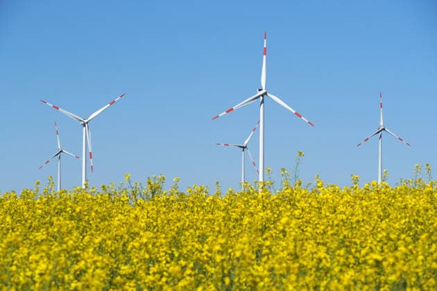Cultural landscape with Wind turbines and flourishing Rape field, Sustainable Energy generation, Agriculture at May 1131609461