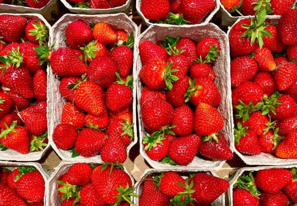 04 05 2026, Germany, NRW, Food, Fruit, Fresh strawberries in environmentally friendly cardboard packaging, Germany Copyright: xD.xKerlekin SnowfieldxPhotographyx SF040526ErdbeerenD