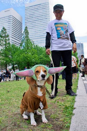 Cosplayers at the Star Wars Day Event May the 4th Be With You Yokohama, 04 05 2026 Foto:xK.xNarax xFuturexImagex star_wars_6507