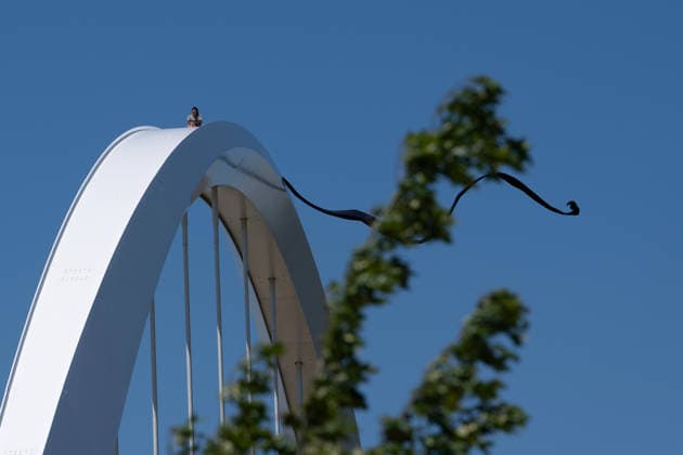 May 5, 2026, Frederick Douglas Bridge, Dc, United States: Activist Guido Reichstadter remains atop the Frederick Douglas South Capitol Street Bridge in Washington, DC on May 5, 2026. Reichstadter is protesting the war in Iran and artificial intelligence. Frederick Douglas Bridge United States - ZUMAl312 20260505_znp_l312_013 Copyright: xAndrewxLeydenx