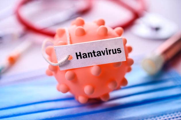 PHOTOMONTAGE, virus model with sign and inscription Hantavirus Hamburg Hamburg Germany FOR EDITORIAL PURPOSES ONLY EDITORIAL USE ONLY