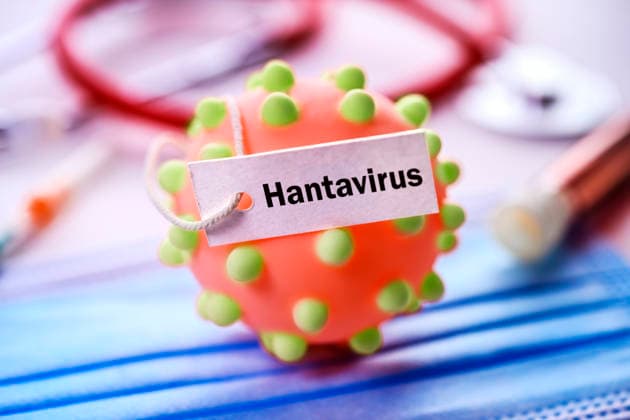 PHOTOMONTAGE, virus model with sign and inscription Hantavirus Hamburg Hamburg Germany FOR EDITORIAL PURPOSES ONLY EDITORIAL USE ONLY
