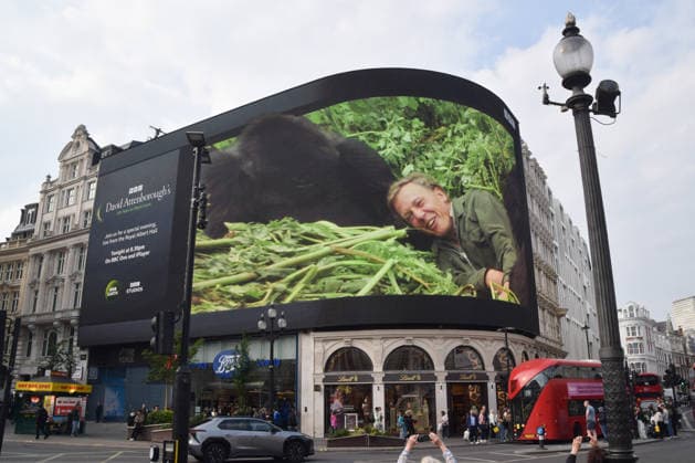 May 8, 2026, London, England, United Kingdom: The Piccadilly Lights screen in Piccadilly Circus displays a tribute from BBC as broadcaster, writer, conservationist and natural historian David Attenborough turns 100. London United Kingdom  - ZUMAv130 20260508_zip_v130_006 Copyright: xVukxValcicx