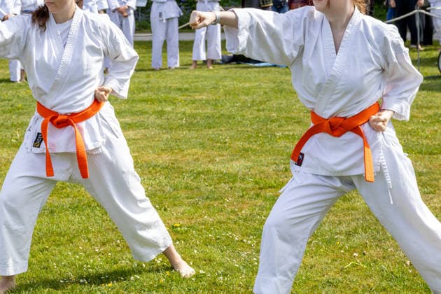 Augsburg, Bavaria, Germany May 10, 2026: A karate group wearing belts of different colors during a joint outdoor training session. The participants are practicing techniques and movements of the Japanese martial art under the guidance of an instructor. Traditional Japanese Spring Festival at the Augsburg Botanical Garden. The event is part of the garden™s 90th anniversary celebrations
