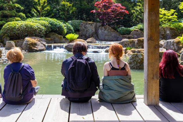 Augsburg, Bavaria, Germany May 10, 2026: Visitors sit by the pond in the Augsburg Botanical Garden and gaze out at the landscaped garden featuring rocks, a waterfall, and Japanese-inspired design in the summer. Traditional Japanese Spring Festival at the Augsburg Botanical Garden. The event is part of the garden™s 90th anniversary celebrations