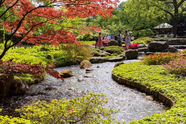 Augsburg, Bavaria, Germany May 10, 2026: Traditional Japanese Spring Festival at the Augsburg Botanical Garden. The event is part of the garden™s 90th anniversary celebrations. Garden grounds