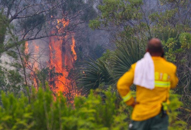 May 11, 2026: Florida Forest Service personnel monitor a wildfire just west of U.S. 1 and SW 344th Street while battling the blaze with helicopter water drops and ground crews on Monday, May 11, 2026, in Florida City, Fla.  - ZUMAm67_ 20260511_zaf_m67_010 Copyright: xCarlxJustex
