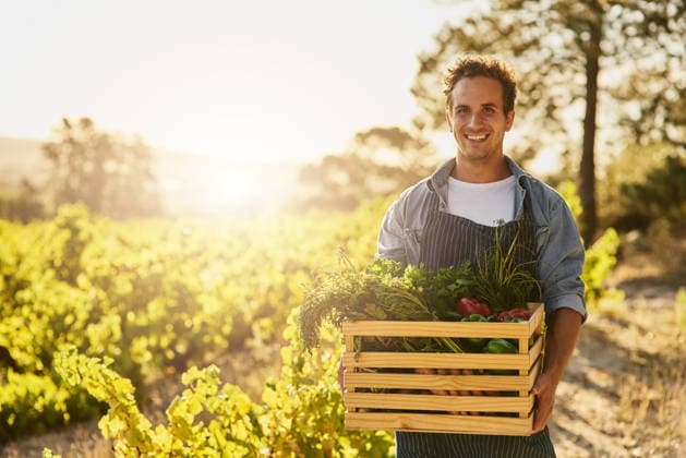 Farmer, planting or harvest vegetation in portrait outdoor for gardening, sustainability or vegan nutrition. Person, agriculture and nursery for flower growth, healthy food and environmental care. (License=RF) ,model released, Symbolfoto  Copyright: xZoonar.com KasperxRavlox 21867575 ,model released, Symbolfoto ,property released