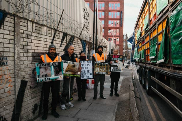 East London Chicken Save Animal rights activists with East London Chicken Save hold a vigil outside Kedassia Poultry in East London, bearing witness to chickens being transported to slaughter. Vigils organised by the group aim to document conditions and offer brief moments of compassion to animals inside transport trucks before they enter the facility., Credit:Harvey Giles Avalon  Copyright: xHarveyxGilesx xAvalonx 1098284895