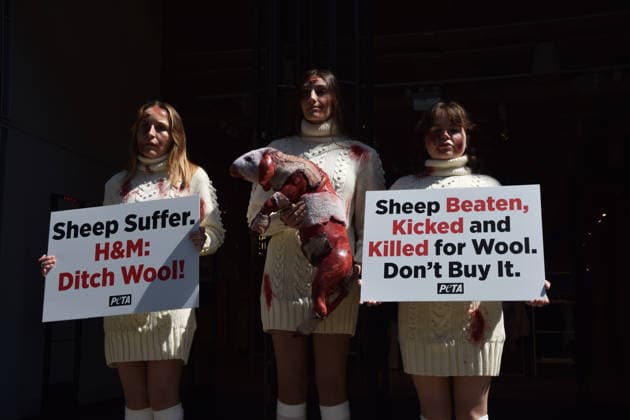 May 12, 2026, London, England, United Kingdom: PETA activists with fake bruises and blood hold a fake dead lamb during a protest outside H&M on Regent Street, calling on the fashion group to stop selling wool. London United Kingdom - ZUMAv130 20260512_zip_v130_002 Copyright: xVukxValcicx