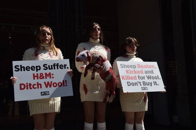 May 12, 2026, London, England, United Kingdom: PETA activists with fake bruises and blood hold a fake dead lamb during a protest outside H&M on Regent Street, calling on the fashion group to stop selling wool. London United Kingdom - ZUMAv130 20260512_zip_v130_004 Copyright: xVukxValcicx