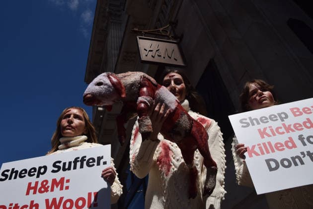 May 12, 2026, London, England, United Kingdom: PETA activists with fake bruises and blood hold a fake dead lamb during a protest outside H&M on Regent Street, calling on the fashion group to stop selling wool. London United Kingdom - ZUMAv130 20260512_zip_v130_010 Copyright: xVukxValcicx
