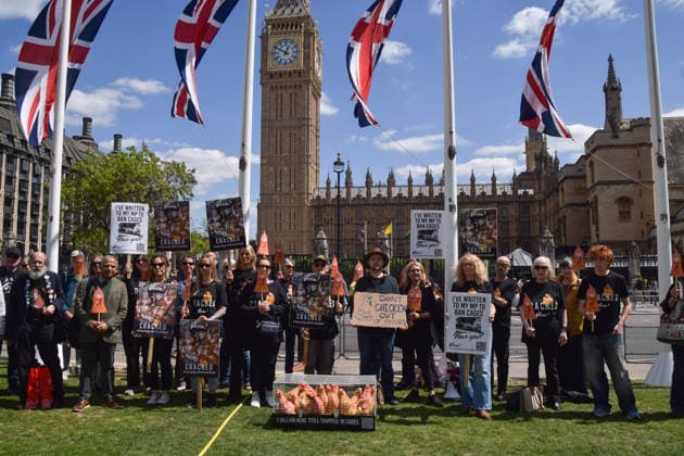 May 12, 2026, London, England, United Kingdom: Activists from the vegan and animal rights campaign group Viva hold placards around a cage with plush toy chickens in Parliament Square during a protest calling on the government to ban cages for hens. Over seven million hens spend their lives in cramped cages on factory farms. London United Kingdom - ZUMAv130 20260512_zip_v130_022 Copyright: xVukxValcicx