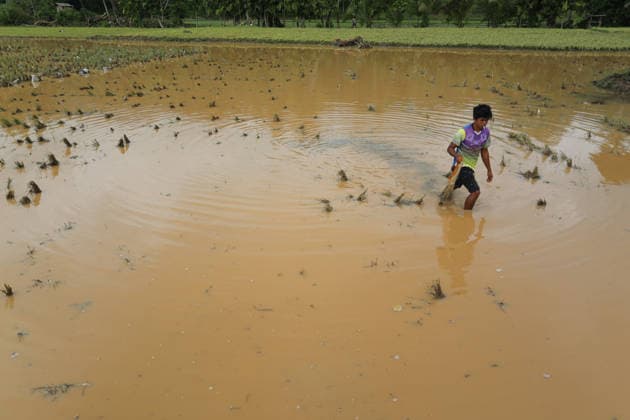 Aftermath of flood in Sumatra TANAH DATAR, INDONESIA - MAY 13: A Resident walks through a flood area in Tanah Datar, West Sumatera Province, Indonesia on May 13, 2026. The structures affected by the floods include residential homes, vehicle, irrigation dam, two village bridge, subdistrict roads, and the rice field. Adi Prima Anadolu Tanah Datar Indonesia. Editorial use only. Please get in touch for any other usage.  Copyright: x2026xAnadoluxAdixPrimax