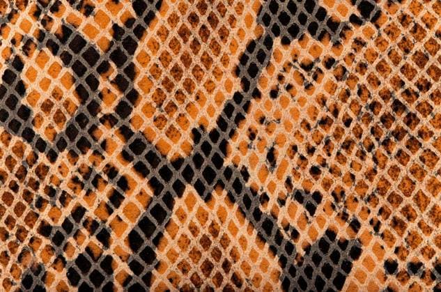 Closeup of snake Skin Leather Texture. Copyright: xhomydesignx Panthermedia68888676.jpg