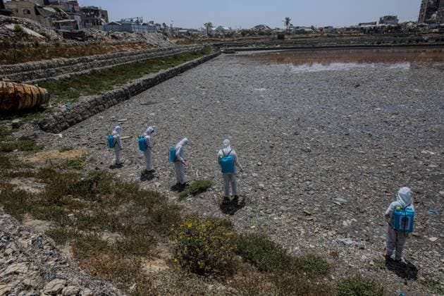 Gaza Launches Mosquito Control Campaign Gaza Municipality Launches Mosquito Control Campaign at Sheikh Radwan Pond, in Gaza, Palestine on May 14, 2026. Photo by Ramez Habboub ABACAPRESS.COM Gaza city Palestine  Copyright: xHabboubxRamez ABACAx