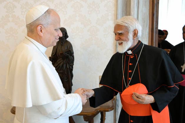 ITALY - POPE LEO XIV RECEIVES IN PRIVATE AUDIENCE BISHOPS PAKISTAN ON AN AD LIMINA BVISIT AT THE VATICAN - 2026 5 15 Italy, Rome, 2026 5 15 .Pope Leo XIV receives in a private audience Bishops of Pakistan on an Ad Limina Visit at the Vatican EDITORIAL USE ONLY - NO BOOKS Copyright: xVATICANxMEDIAx