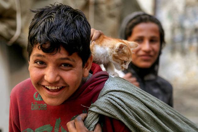 May 15, 2026, Beirut, Beirut, Lebanon: A Palestinian garbage collector youth gestures after a cat jumped on his shoulders as he heads with his friends to work inside the Palestinian refugee camp of Shatila in Beirut. Palestinian refugees in Lebanon marked the 78th anniversary of the Nakba Ã¢â‚¬ Arabic for Ã¢â‚¬oecatastropheÃ¢â‚¬Â Ã¢â‚¬ a term that refers to displacement and dispossession of approximately 750,000 Palestinians during the creation of Israel. Palestinian refugees in Lebanon face dire challenges by the ongoing regional instability and the lack of a clear resolution to their displacement. Beirut Lebanon - ZUMAn313 20260515_zip_n313_007 Copyright: xMarwanxNaamanix