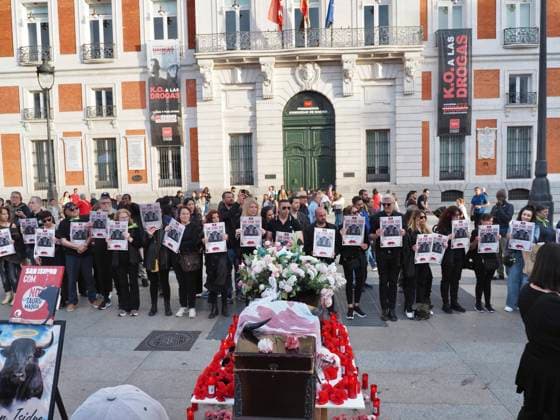 May 16, 2026, Madrid, Madrid, Spain: MADRID, SPAIN - MAY 16: Members of the Animalist Party with the Environment - PACMA, demonstrate against bullfighting during the San Isidro festivities, gathering at Puerta del Sol in Madrid holding signs and a coffin with flowers and candles representing the funeral of a bull killed in the bullfights. Madrid Spain  - ZUMAh199 20260516_zip_h199_004 Copyright: xAaronxHerediax