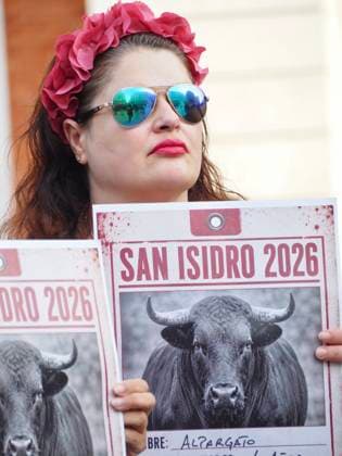 May 16, 2026, Madrid, Madrid, Spain: MADRID, SPAIN - MAY 16: Members of the Animalist Party with the Environment - PACMA, demonstrate against bullfighting during the San Isidro festivities, gathering at Puerta del Sol in Madrid holding signs and a coffin with flowers and candles representing the funeral of a bull killed in the bullfights. Madrid Spain  - ZUMAh199 20260516_zip_h199_005 Copyright: xAaronxHerediax
