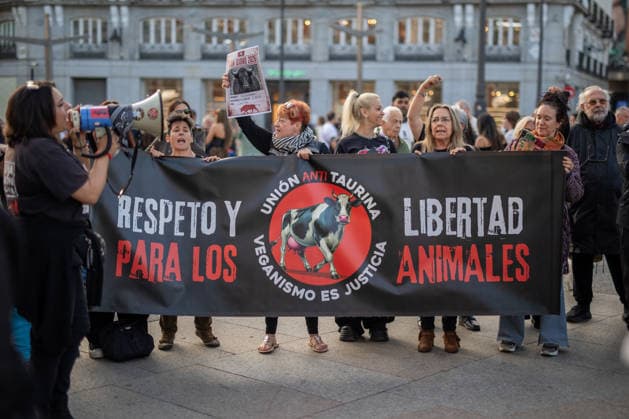 Anti-bullfighting rally in Madrid, Spain - 16 May 2026 Anti-bullfighting activists carry a banner. Protesters organized an anti-bullfighting rally organized by PACMA (Animal Rights Party for the Environment) to protest the lives of the bulls killed during the traditional festivities of San Isidro Labrador, patron saint of Madrid. Madrid Spain Copyright: xDavidxCanalesx xSOPAxImagesx DCPacmaSol260516-40