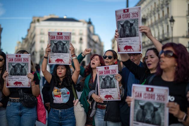 May 16, 2026, Madrid, Spain: Anti-bullfighting activists carry banners. Protesters organized an anti-bullfighting rally organized by PACMA (Animal Rights Party for the Environment) to protest the lives of the bulls killed during the traditional festivities of San Isidro Labrador, patron saint of Madrid. Madrid Spain  - ZUMAs197 20260516_aaa_s197_466 Copyright: xDavidxCanalesx