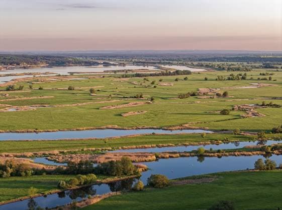Die Hohensaaten-Friedrichsthaler Wasserstraße und die Landschaft an der Oder im Abendlicht. Nationalpark Unteres Odertal in der Uckermark. Luftaufnahme. Stützkow, Angermünde, Brandenburg, Deutschland The Hohensaaten-Friedrichsthal waterway and the countryside on the Oder in the evening light. Lower Oder Valley National Park in the Uckermark. aerial view. Stützkow, Angermünde, Brandenburg, Germany Copyright: imageBROKER MarkusxBeck iblmbk17735488.jpg