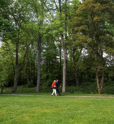 RECORD DATE NOT STATED PM Modi and Netherlands PM Rob Jetten during a walk in the gardens of the latter™s official residence (Catshuis), in The Hague The Hague Netherlands , May 17 (ANI): Prime Minister Narendra Modi and Netherlands Prime Minister Rob Jetten during a walk in the gardens of the latter™s official residence (Catshuis), in The Hague on Saturday. (DPR PMO ANI Photo) The Hague The Hague Netherlands Copyright: xANIx ANI_20260517010