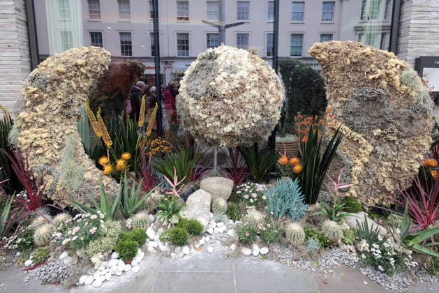 . 18 05 2026. London, United Kingdom. Chelsea in Bloom. Produced by Cadogan, in association with the Royal Horticultural Society (RHS), the world class alternative floral art show is back for its 21st anniversary, transforming the streets of Chelsea from 18-24 May, with breathtaking displays made of fresh flowers.  xMartynxWheatleyx xi-Imagesx IIM-26781-0013